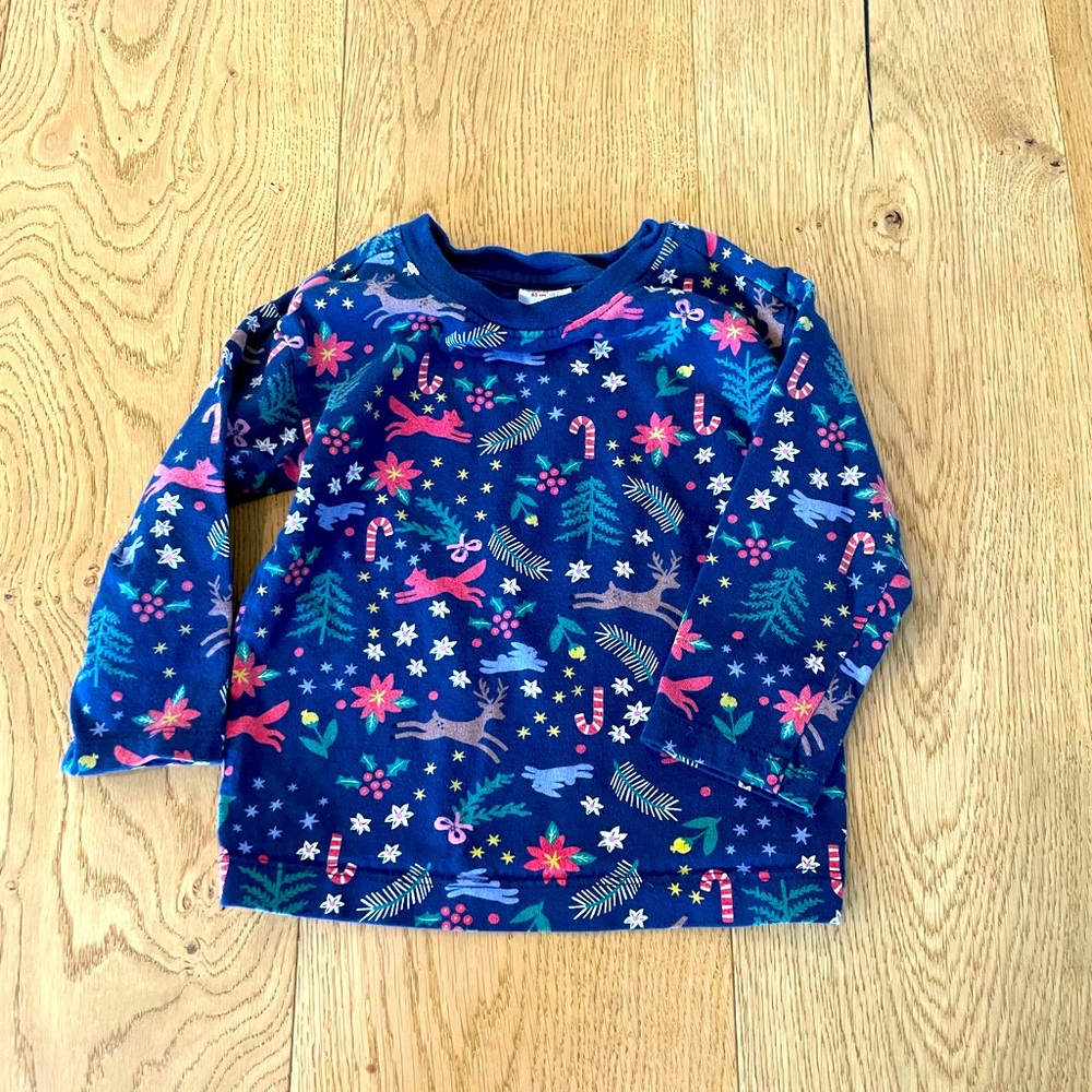 Hanna Andersson Christmas Shirt size 2T